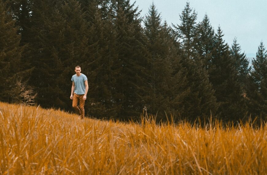 Conversations and Insights from Personal Portfolio…
