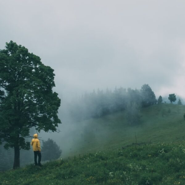 Adventures in Adulting: Navigating the Perils of Responsibility