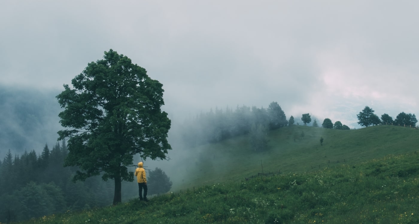 Adventures in Adulting: Navigating the Perils of Responsibility